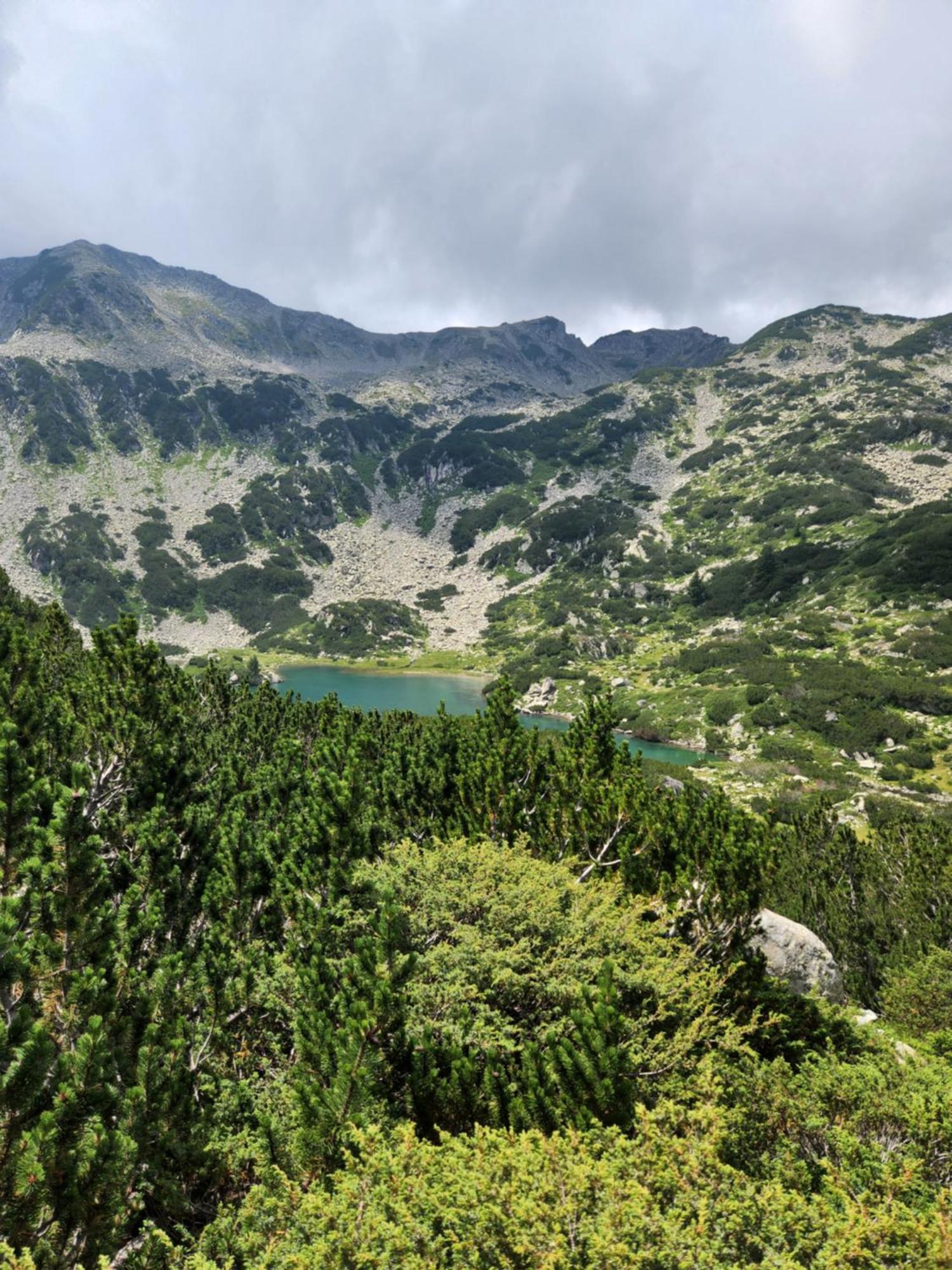 One Bedroom Apartment Pirin Lodge Банско Экстерьер фото